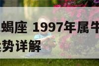 1997牛天蝎座 1997年属牛天蝎座在2021年运势详解