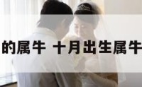 十月出生的属牛 十月出生属牛人最富贵