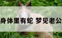 梦见老公身体里有蛇 梦见老公身边有蛇