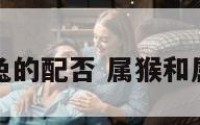 属猴的和属兔的配否 属猴和属兔的人配吗