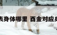 酉金代表身体哪里 酉金对应身体部位