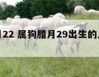 属狗腊月22 属狗腊月29出生的人是什么命