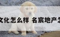 名宸文化怎么样 名宸地产怎么样