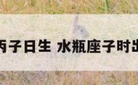 水瓶座丙子日生 水瓶座子时出生命运