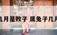 属兔几月是败子 属兔子几月最好