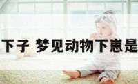梦见动物下子 梦见动物下崽是怎么回事