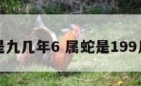 属蛇是九几年6 属蛇是199几年的