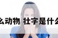 壮字代表什么动物 壮字是什么生肖查一下