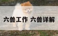 六兽工作 六兽详解