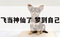 梦见自己会飞当神仙了 梦到自己会飞是仙女