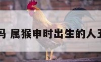 申时属猴吗 属猴申时出生的人五行缺什么