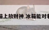 客厅冰箱上放财神 冰箱能对着财神吗