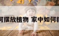 家庭如何摆放植物 家中如何摆放植物