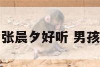 男宝宝起名张晨夕好听 男孩名张晨什么