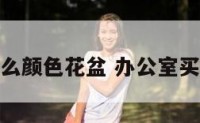 办公室用什么颜色花盆 办公室买什么盆栽好