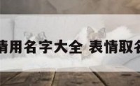 表情用名字大全 表情取名字