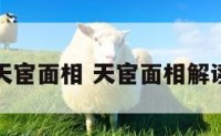 天宦面相 天宦面相解读