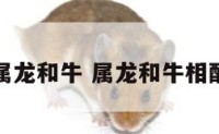 生肖配对属龙和牛 属龙和牛相配婚姻如何