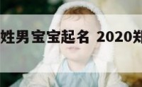 2017郑姓男宝宝起名 2020郑姓男孩取名
