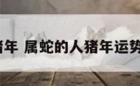 属蛇逢猪年 属蛇的人猪年运势怎么样?