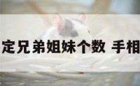 手相确定兄弟姐妹个数 手相看兄弟