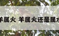 羊属火 羊属火还是属水