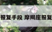 摩羯座的报复手段 摩羯座报复心理强吗
