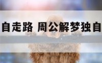 周公解梦独自走路 周公解梦独自走路什么意思