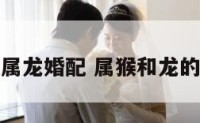 属猴属龙婚配 属猴和龙的婚姻