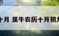 属牛农历十月 属牛农历十月初九出生好吗