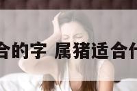 生肖属猪适合的字 属猪适合什么字有哪些