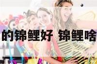 什么颜色的锦鲤好 锦鲤啥颜色好看