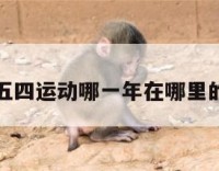 关于五四运动哪一年在哪里的信息