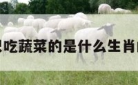 关于只吃蔬菜的是什么生肖的信息