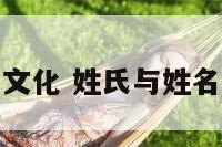 姓氏与姓名文化 姓氏与姓名文化的关系