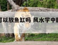卧室问口可以放鱼缸吗 风水学中卧室能不能放鱼缸