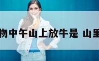 猜动物中午山上放牛是 山里放牛