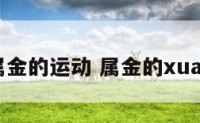 属金的运动 属金的xuan