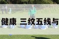 三纹五线与健康 三纹五线与健康的关系