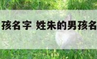 谁有姓朱男孩名字 姓朱的男孩名字好听的名字