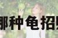 哪种龟招财 哪种龟招财适合店里养