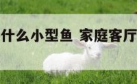 客厅适合养什么小型鱼 家庭客厅养什么鱼最好