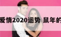 鼠年猪的爱情2020运势 鼠年的猪年运势