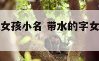 带水的名字女孩小名 带水的字女孩名字好听小名