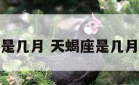 天蝎座应该是几月 天蝎座是几月到几月之间