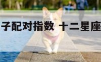 十二星座狮子配对指数 十二星座狮子配对指数是什么