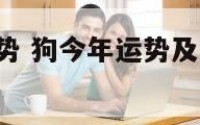 狗的今年运势 狗今年运势及财运2025年运程怎么样