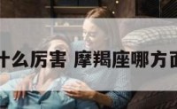 摩羯座什么厉害 摩羯座哪方面最厉害