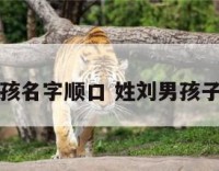姓刘男孩名字顺口 姓刘男孩子取名字