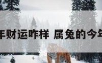 属兔人今年财运咋样 属兔的今年财运咋样